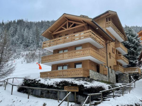 Meribel Centre La Chaudanne, real ski in and out, 3 bedrooms 2 bathrooms newly renovated, Chalet l'Épervière